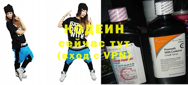 дурь Арсеньев