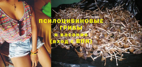 дурь Арсеньев