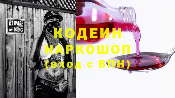 дурь Арсеньев