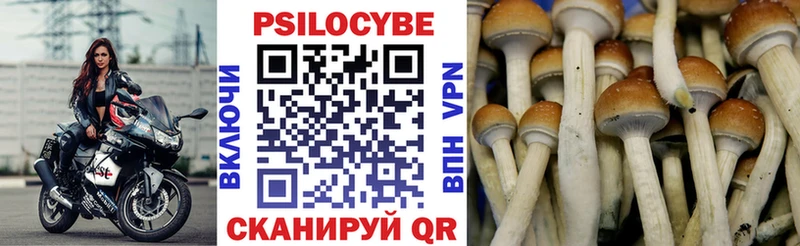 omg ONION  Шатура  Галлюциногенные грибы Magic Shrooms 